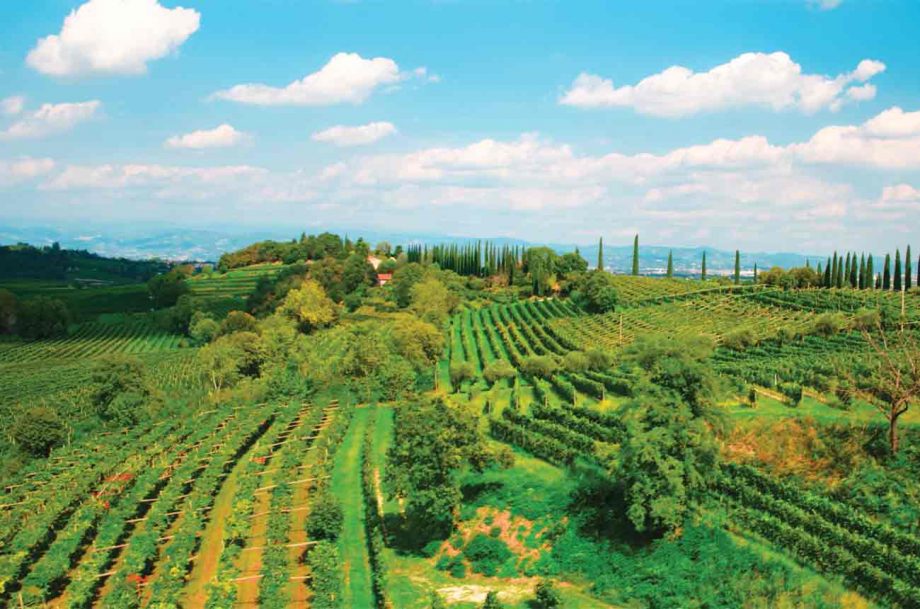 Custoza DOC wine region in Northern Italy
